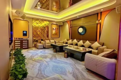 海滨都市夜场新机遇 自由职缺点亮璀璨人生